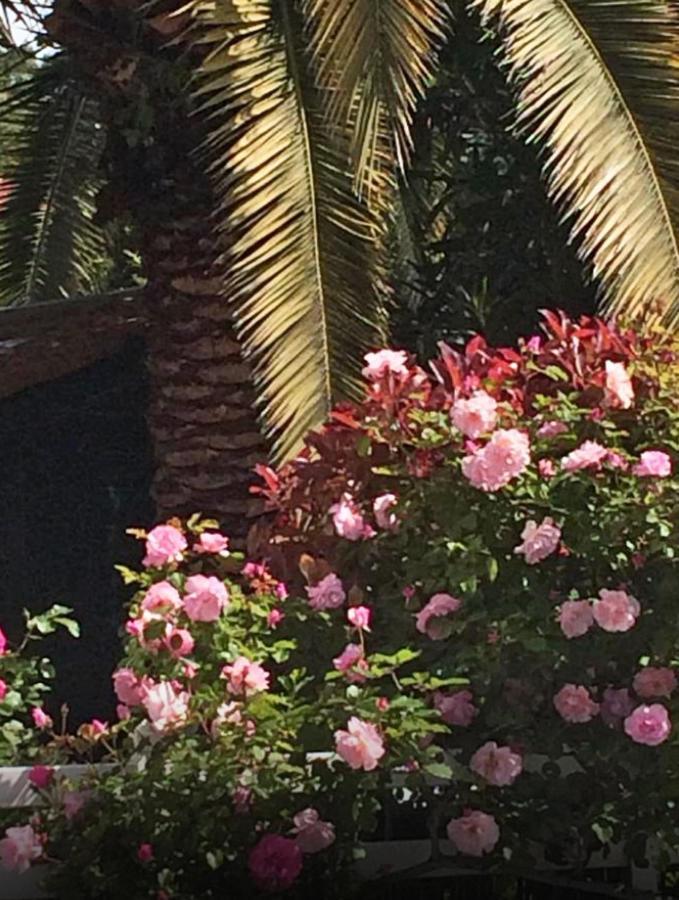 Bed and Breakfast Xokoan Biarritz Exterior foto